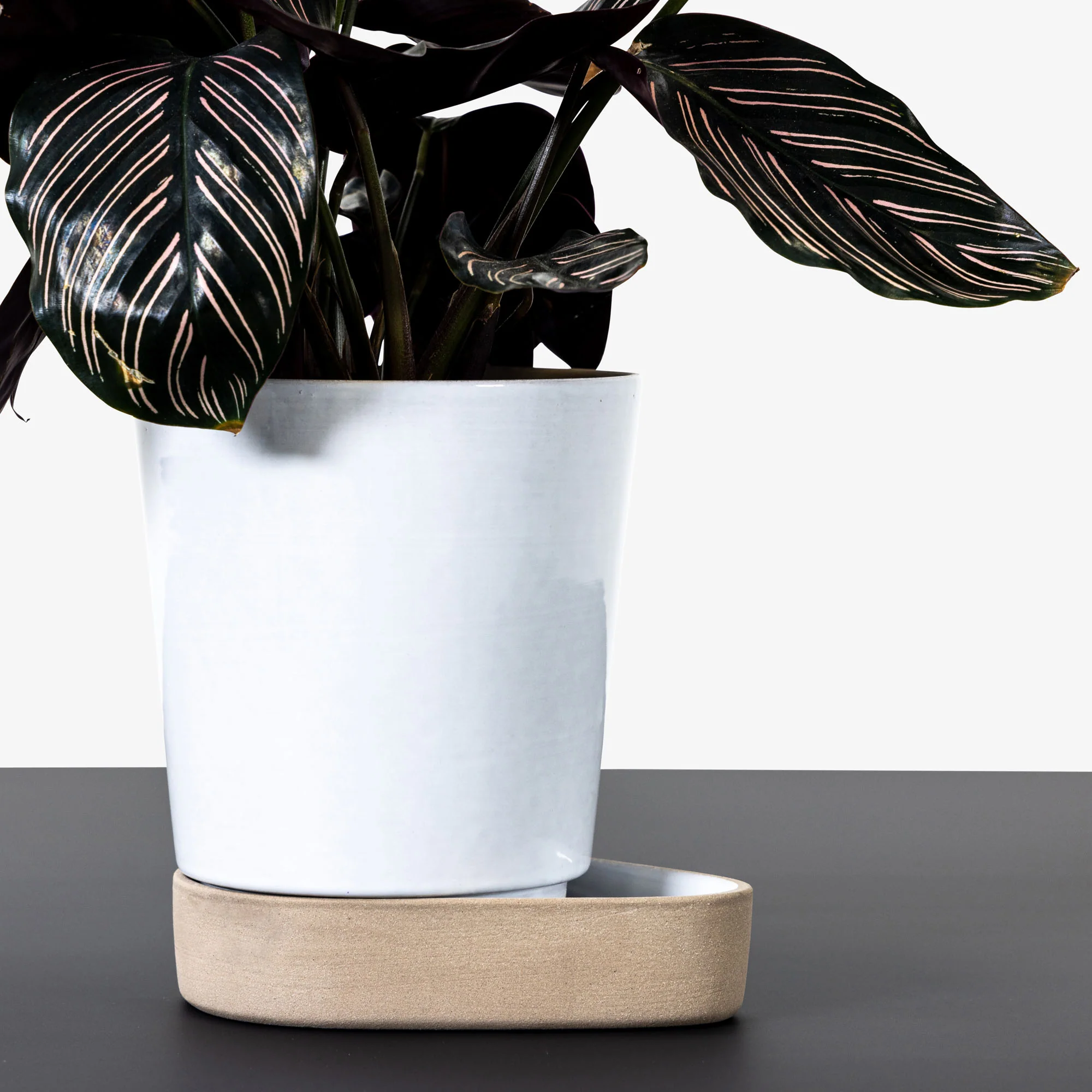 Sip Plant Pot - Image 6